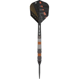 STEEL RAYMOND VAN BARNEVELD BLACK 21 GRAMMI